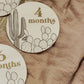 Boho Cactus Monthly Milestone Discs